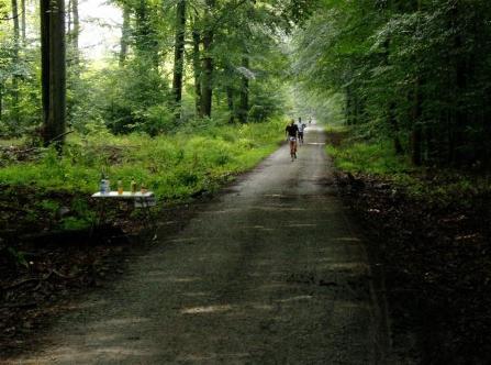 Egelsbach-Marathon-Wald